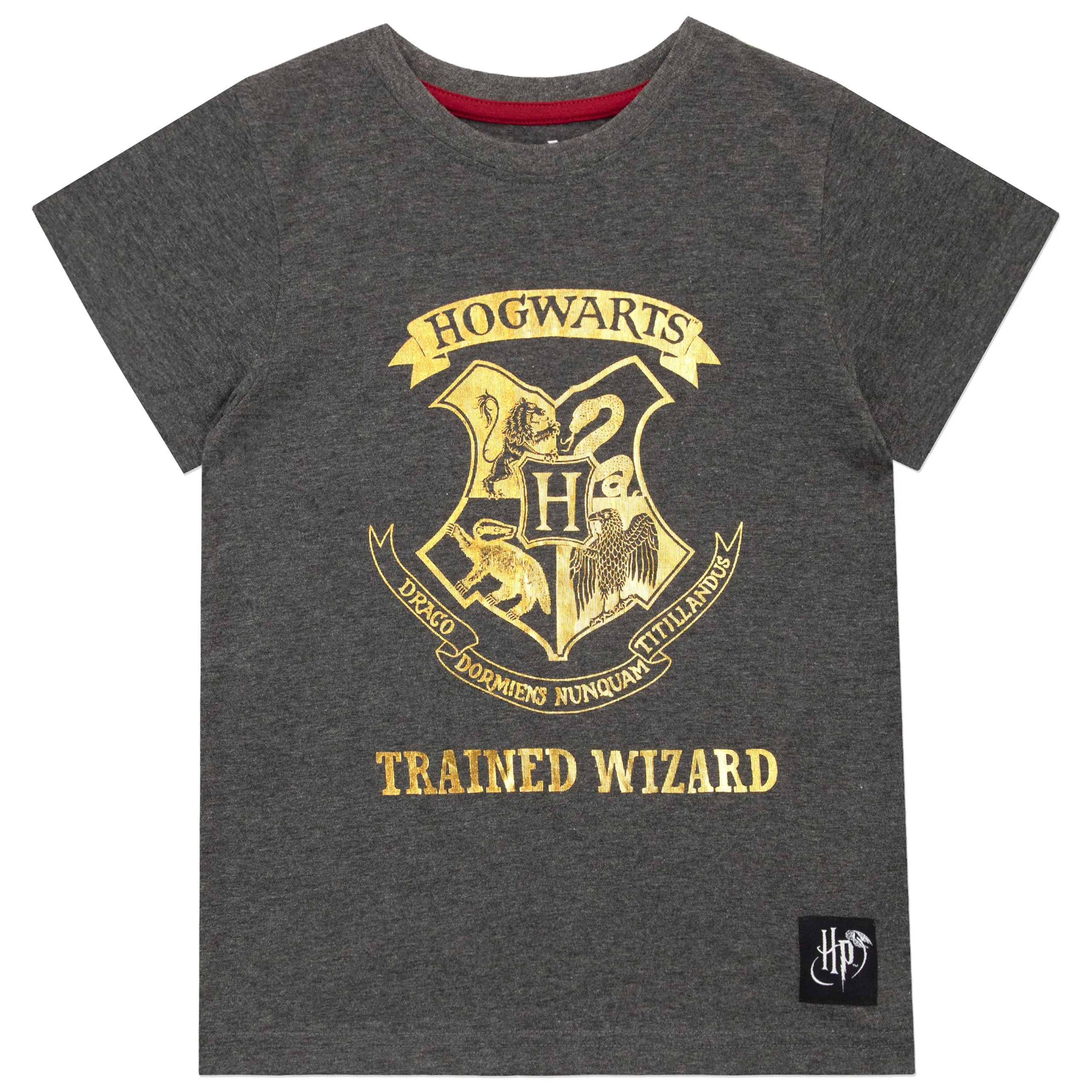 Harry Potter T-Shirt 2 Pack