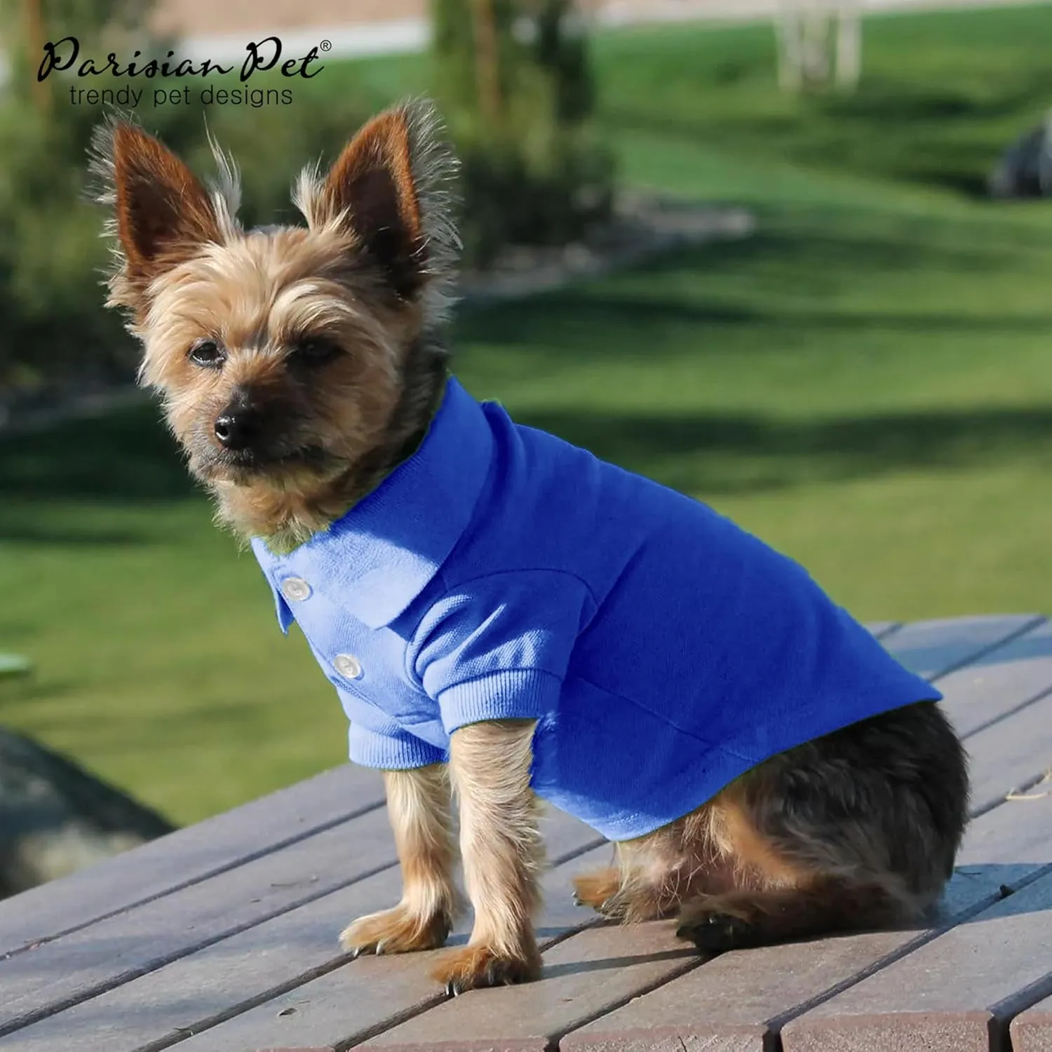 Parisian Pet Dog Polo Shirts - Breathable Cotton Shirt - Solid Blue, Summer Pullover - Button Up Collar Polo for Large Dogs 2XL