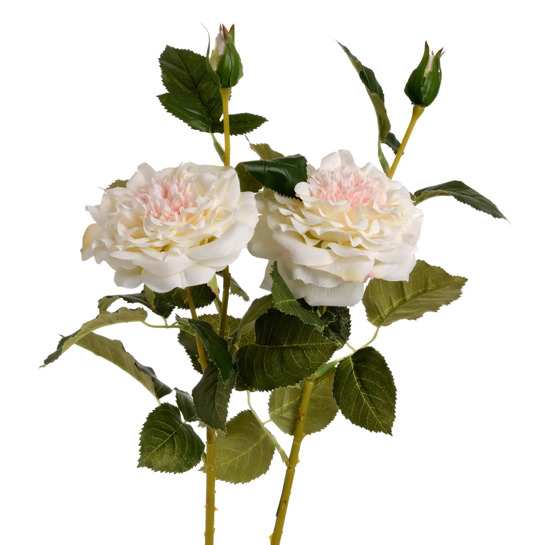White Garden Rose Single Stem Spray