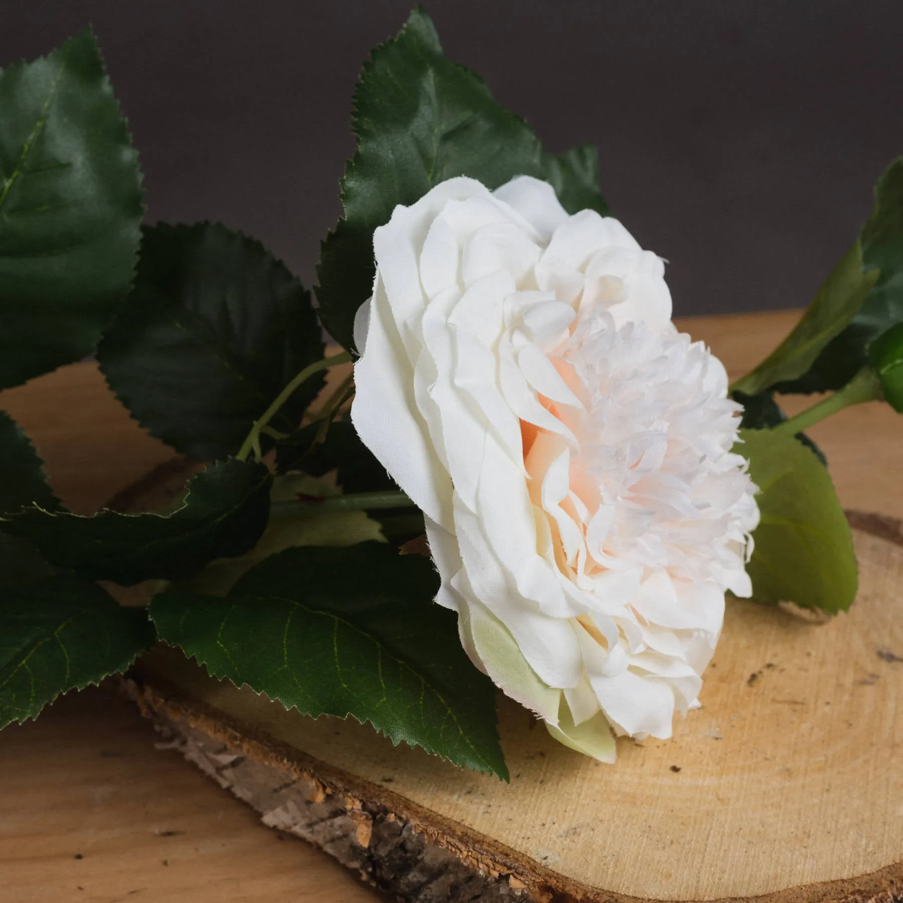 White Garden Rose Single Stem Spray